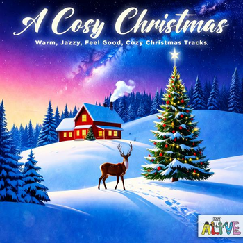  A Cosy Christmas