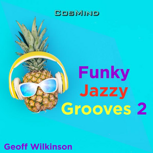 Funky Jazzy Grooves 2