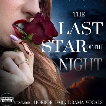 The Last Star Of The Night