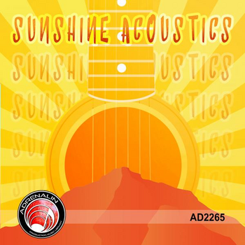 Sunshine Acoustics