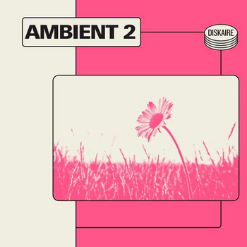 Ambient 2