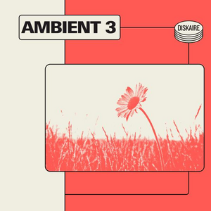 Ambient 3