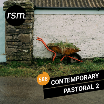 Contemporary Pastoral 2