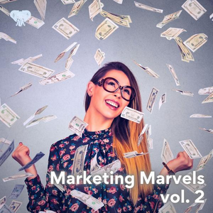 Marketing Marvels vol. 2
