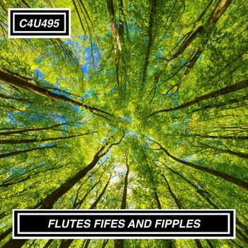 FLUTES FIFES AND FIPPLES