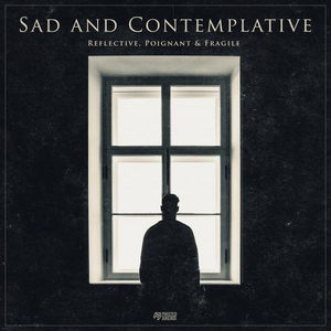  Sad and Contemplative