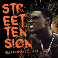 STREET TENSION - DARK AMAPIANO & STENA