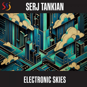 Electronic Skies