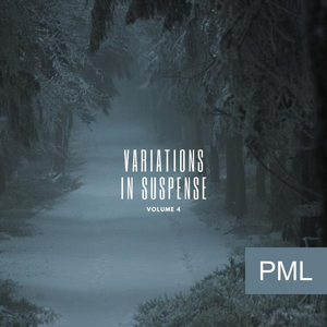 VARIATIONS IN SUSPENSE VOLUME 4