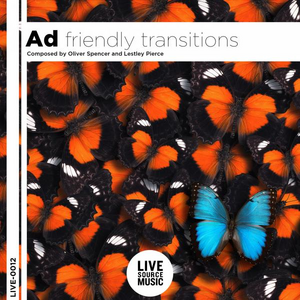 Ad Friendly Transitions