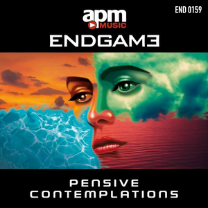 Pensive Contemplations