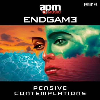 Pensive Contemplations