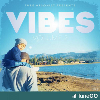 Vibes Vol. 2