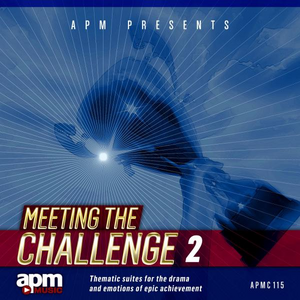 MEETING THE CHALLENGE 2