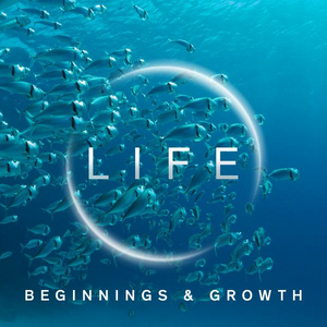 - LIFE - BEGINNINGS AND GROWTH