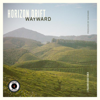 - WAYWARD - HORIZON DRIFT