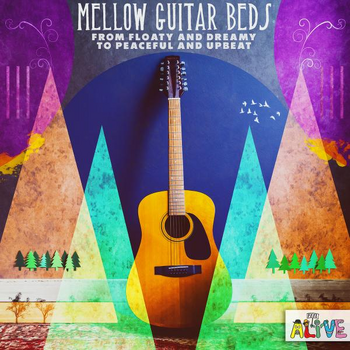  Mellow Guitar beds