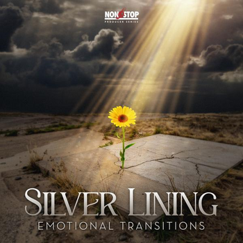 Silver Lining - Emotional Transitions