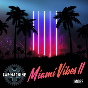 Miami Vibes II