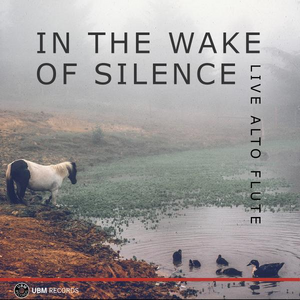 In the Wake of Silence - Live Alto Flute