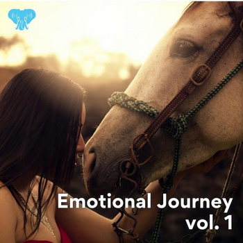 Emotional Journey vol. 1