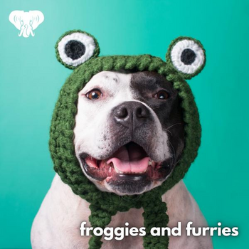 Froggies And Furries