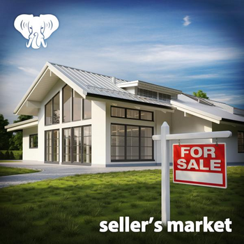 Seller's Market