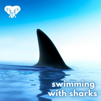 Swimming With Sharks