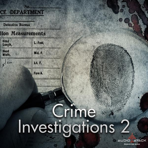 Crime Investigations 2