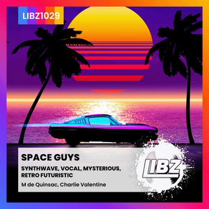 SPACE GUYS