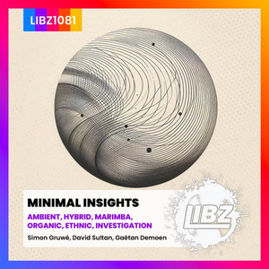 MINIMAL INSIGHTS