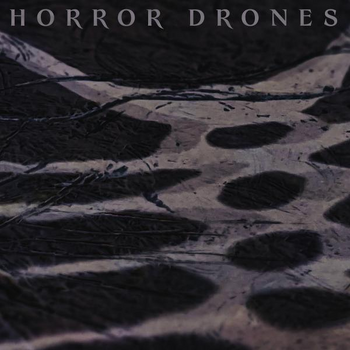 HORROR DRONES