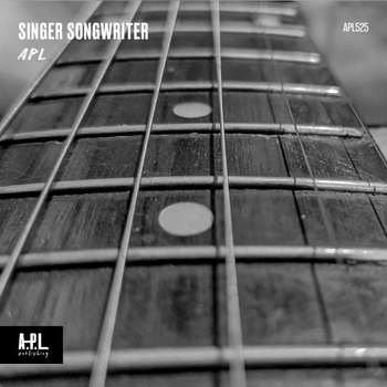Singer Songwriter