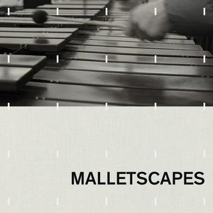 MALLETSCAPES ? Tim Whitelaw