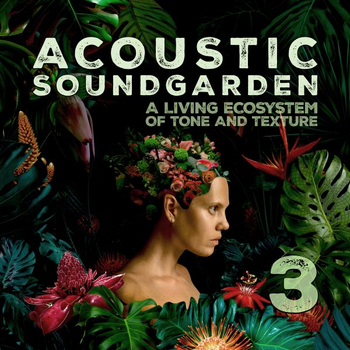 Acoustic Soundgarden 3