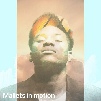 MALLETS IN MOTION