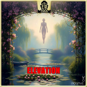 Elevation - Paperplane
