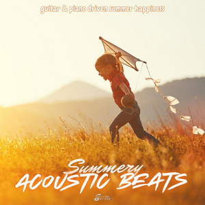 Acoustic Beats - Summery