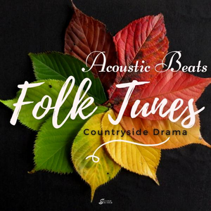 Acoustic Beats - Folk Tunes