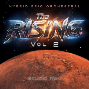 The Rising Vol. 2